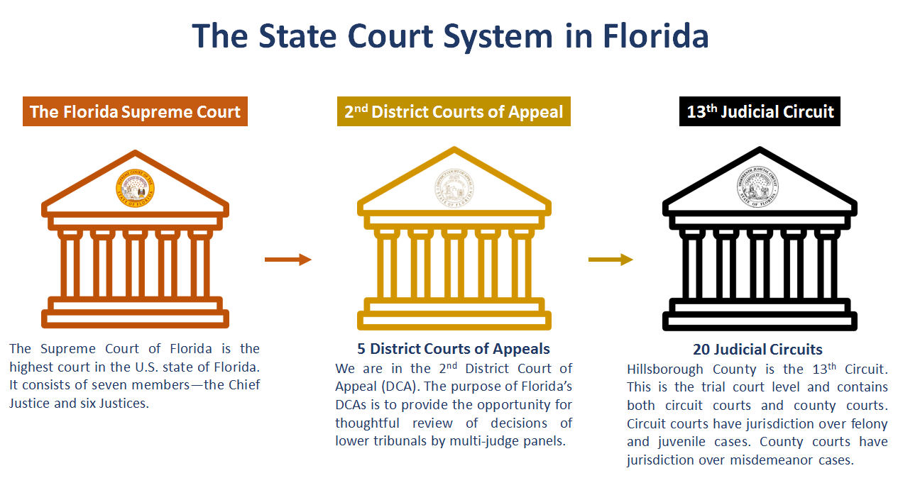 Overview Of The Court System – Office Of The State Attorney 13th